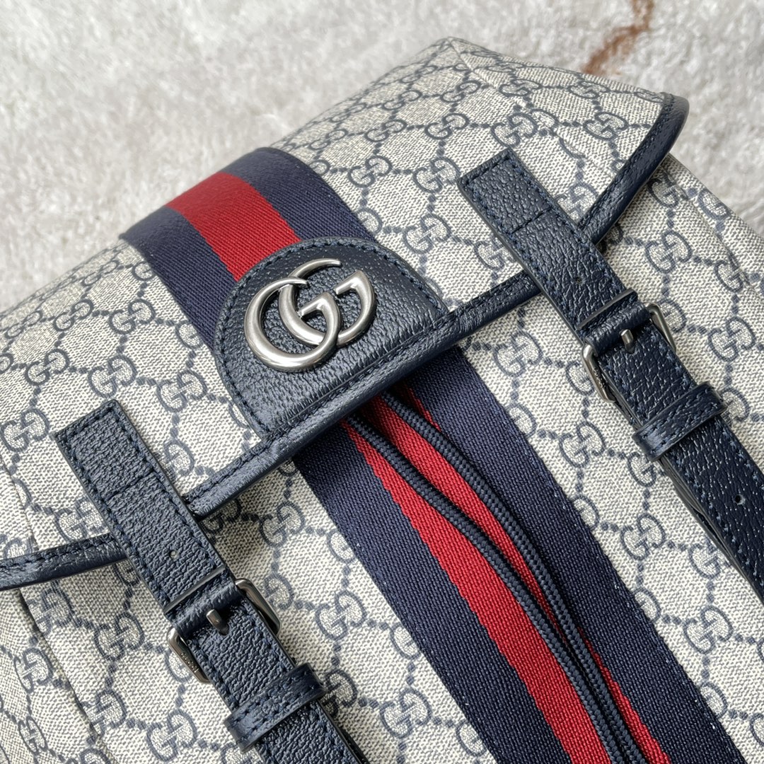 Gucci Backpacks